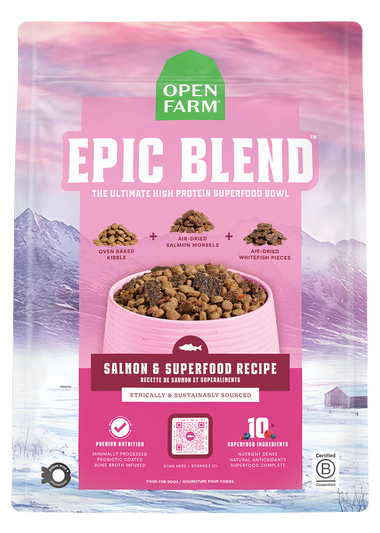 Epic Blend Salmon & Superfood Dry Dog Food