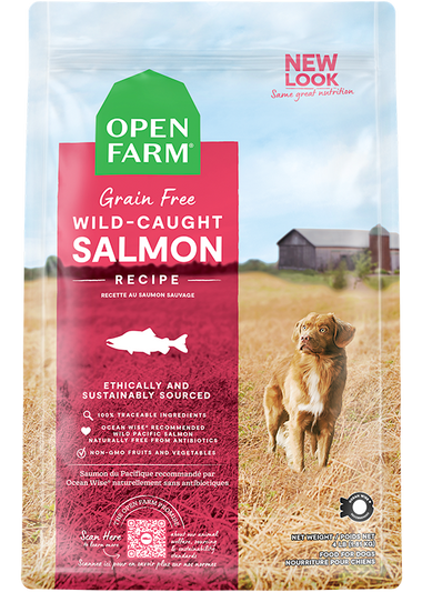 Wild-Caught Salmon Grain-Free Dog Kibble