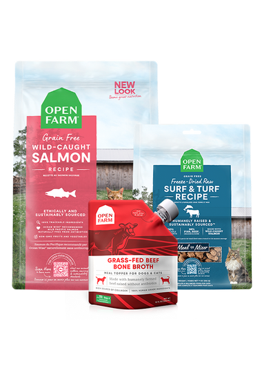 Skin & Coat Bundle for Cats